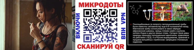 купить   Сургут  Галлюциногенные грибы Cubensis 